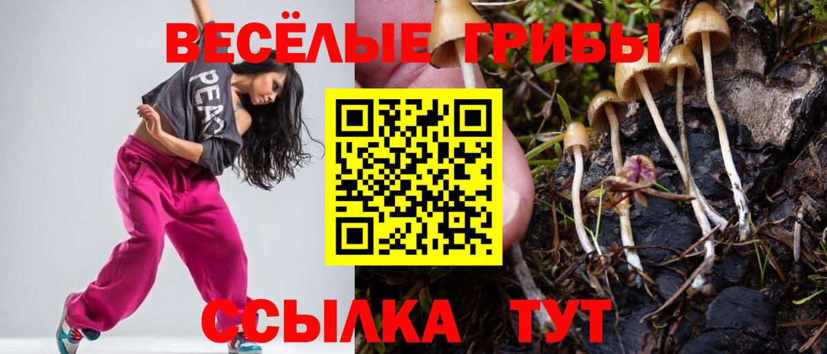 Пушкино  Галлюциногенные грибы Psilocybine cubensis  Вход с VPN 